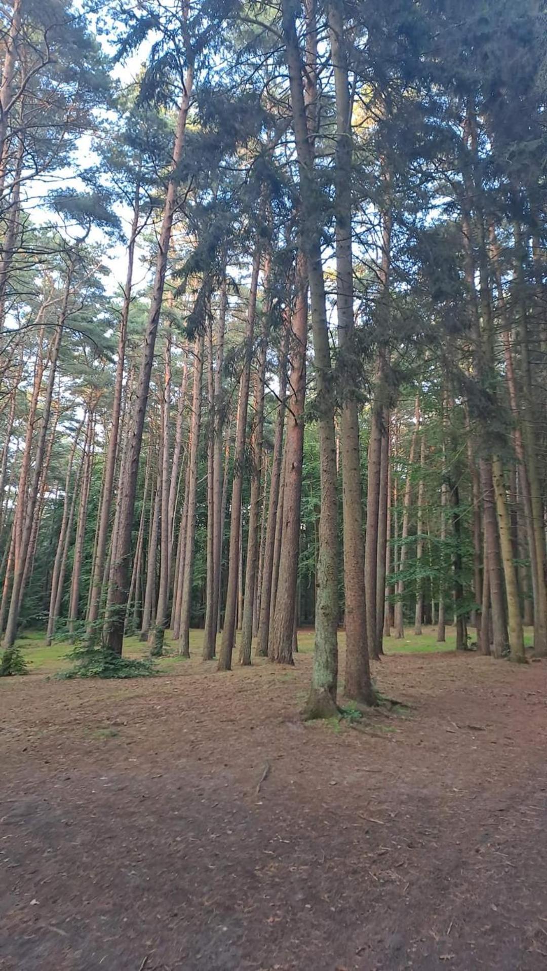 Pobierowo Baltic Apartaments D5 المظهر الخارجي الصورة